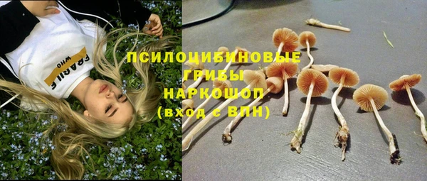 твердый Алзамай